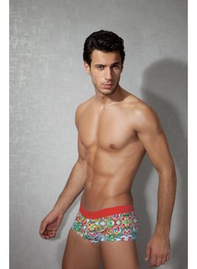 Multicolor Boxer