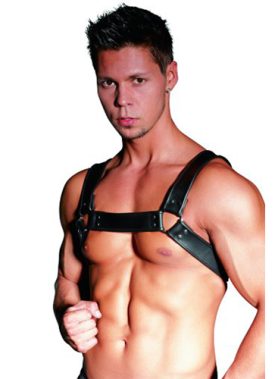 Leather Chest Harness