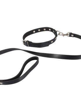 Lederen Halsband met Riem