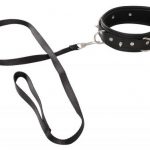 Vegan Halsband Met Lijn