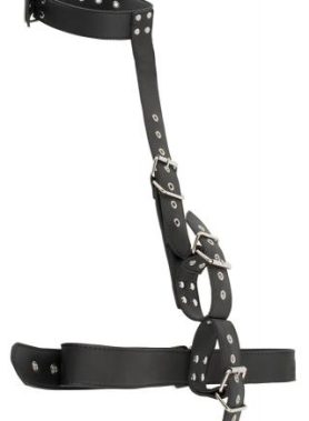 Vegan Hals en Armen Bondage Set