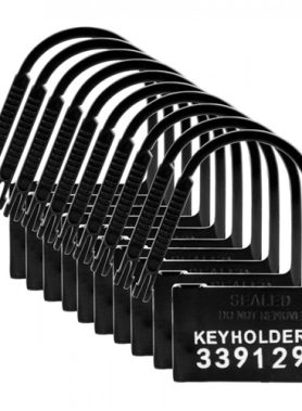 Keyholder Kuisheidskooi Hangslotjes - 10 Stuks