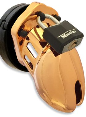 CB-6000S Kuisheidskooi - Goud
