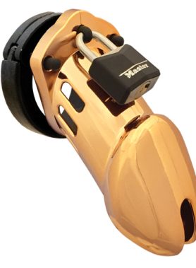 CB-6000 Kuisheidskooi - Goud