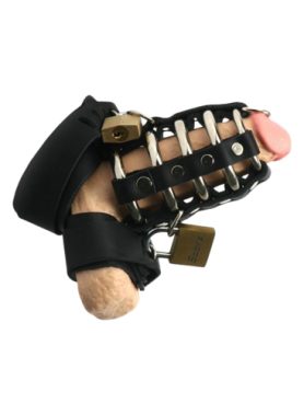 Strict Leather Gates of Hell Chastity Device